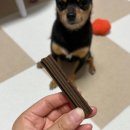 제이덴탈 | 강아지 다이어트 사료, 저알러지 덴탈껌 추천 :오아이오 슬림하개, 덴탈케어츄