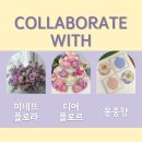 달플로르 이미지