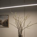 아뜰리에 앤(atelier and) 이미지
