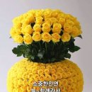 Good happy BINSTAR nice a beautiful smile day with you and sweet heart nigh 이미지