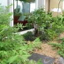 예크유치원 이미지