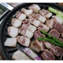 그곳애월 이미지