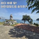 태안 캠핑장 후기 바다 앞 힐링 명소 태안캠핑드림 솔직 리뷰