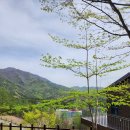 월성청소년수련원 | 한국의 스위스 거창 미리내숲 견우성 캐빈하우스 복층 (거창반값여행 실패)