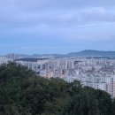 파란행정사 이미지