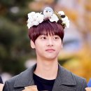 위빅스 이미지