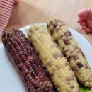 위포초려 이미지