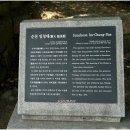 순천-77호 이미지