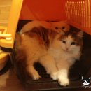 루시호텔 이미지