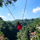 청풍발리호텔