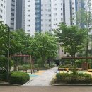 청계육교 옆 이미지