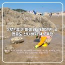 선녀바위로 5 | [인천 중구] 아이와 가볼만한 곳, 영종도 선녀바위 해수욕장 모래 갯벌 소라 게 잡기 해루질 후기