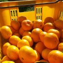 재이농장 이미지