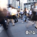 6일카센타 이미지