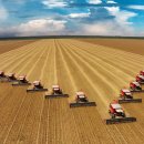 대두농장 이미지