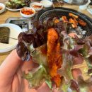 더글램호텔 | 주말 기록_가평 북한강 뷰 글램핑 '더 글램' 후기! (feat. 카페 녹화, 면포도궁)