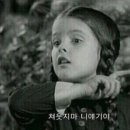 디니타 이미지