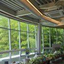 코우코알라 | 제주도 서귀포 카페 코우코알라 단체, 코알라처럼 쉬기 좋음