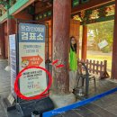 카카오카페(KAKAO CAFE) | 전북투어패스 전주 후기｜5,900원으로 즐긴 전주 여행 코스, 카페와 체험까지