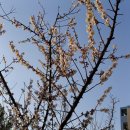 오륙도중학교 이미지