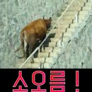 전주피부관리 바캉스 후 진정관리, 서신동 미셀킴스킨케어