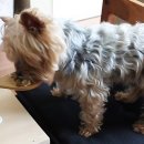 청해약국 이미지