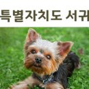 신성가축병원 이미지