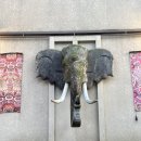 광주참약국 이미지