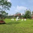 경안천 유방동 이미지