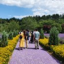 여름향기 이미지