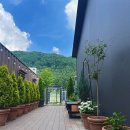 돌담펫호텔 이미지