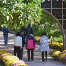 완도수목원 이미지