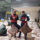 흑산홍어 연합뉴스