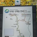 드라마 도깨비 촬영지 '오대산 선재길 월정사 전나무 숲길' 이미지