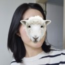 오르드 | [왕십리 미용실] 중단발 레이어드컷 후기, 오르드비 지훈쌤 솔직 리뷰