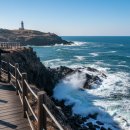 영덕군청 | 영덕 블루로드 B코스 겨울 바다 트레킹 초보자 완주 후기와 주차 꿀팁