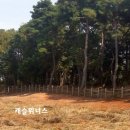 고래실공원 이미지