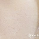 플로망 이미지