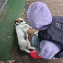 대불주거2로 이미지