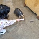 승연전자 | 아이와 함께 가볼만한 곳 인천 서창 실내동물원 쥬벅스 앤 쥬니멀 솔직후기