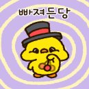 제일서치 이미지