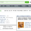 린네일샵 이미지