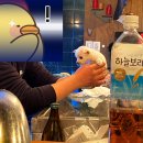히바치광 | 부암동 근처 히바치광 본점 방문기 (부암동 이자카야 / 평창동 이자카야 추천)