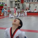 경성태권도 이미지
