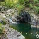 장수덕산로 티스토리