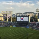 2026년 9월3일 (목) 야구장 직관/혜정님 이미지