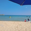 사천견생 이미지