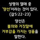 성령의 열매중 ＜양선＞이 없는 빨갱이들 이미지