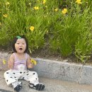 소율농장 | [~633일 ]20개월 아기605-633일 소율이랑 육아일상 /육아일기💛