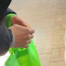 원주곤충마을박물관 이미지